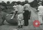 Standbild Baumwolle Landwirtschaft Chula Georgia USA, 1931, aus Sekunde 46 historischem Filmmaterial Videoclip 65675058053