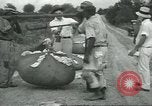 Standbild Baumwolle Landwirtschaft Chula Georgia USA, 1931, aus Sekunde 47 historischem Filmmaterial Videoclip 65675058053
