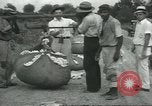 Standbild Baumwolle Landwirtschaft Chula Georgia USA, 1931, aus Sekunde 48 historischem Filmmaterial Videoclip 65675058053