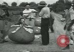 Standbild Baumwolle Landwirtschaft Chula Georgia USA, 1931, aus Sekunde 49 historischem Filmmaterial Videoclip 65675058053