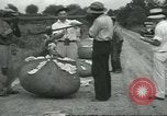 Standbild Baumwolle Landwirtschaft Chula Georgia USA, 1931, aus Sekunde 50 historischem Filmmaterial Videoclip 65675058053