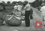 Standbild Baumwolle Landwirtschaft Chula Georgia USA, 1931, aus Sekunde 51 historischem Filmmaterial Videoclip 65675058053