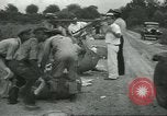 Standbild Baumwolle Landwirtschaft Chula Georgia USA, 1931, aus Sekunde 56 historischem Filmmaterial Videoclip 65675058053