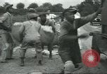 Standbild Baumwolle Landwirtschaft Chula Georgia USA, 1931, aus Sekunde 57 historischem Filmmaterial Videoclip 65675058053