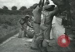 Standbild Baumwolle Landwirtschaft Chula Georgia USA, 1931, aus Sekunde 59 historischem Filmmaterial Videoclip 65675058053