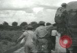Standbild Baumwolle Landwirtschaft Chula Georgia USA, 1931, aus Sekunde 61 historischem Filmmaterial Videoclip 65675058053