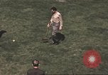 Image of 303rd Bomb Group United Kingdom, 1942, second 61 stock footage video 65675058069