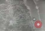 Standbild Erdbewegungsmaschinen Pacific Theater, 1944, aus Sekunde 14 historischem Filmmaterial Videoclip 65675058074