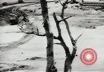 Standbild Erdbewegungsmaschinen Pacific Theater, 1944, aus Sekunde 36 historischem Filmmaterial Videoclip 65675058074