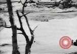 Standbild Erdbewegungsmaschinen Pacific Theater, 1944, aus Sekunde 37 historischem Filmmaterial Videoclip 65675058074