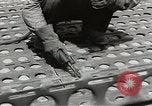 Standbild Erdbewegungsmaschinen Pacific Theater, 1944, aus Sekunde 58 historischem Filmmaterial Videoclip 65675058075