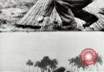 Standbild Erdbewegungsmaschinen Pacific Theater, 1944, aus Sekunde 62 historischem Filmmaterial Videoclip 65675058075