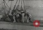 Standbild Ingenieure Neapel Italien, 1943, aus Sekunde 48 historischem Filmmaterial Videoclip 65675058078