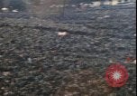 Standbild Demonstrationen Washington DC USA, 1969, aus Sekunde 42 historischem Filmmaterial Videoclip 65675058083