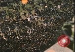 Image of demonstrations Washington DC USA, 1969, second 46 stock footage video 65675058085