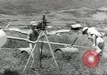 Standbild P-39 Airacobras Wau Papua Neu Guinea, 1943, aus Sekunde 5 historischem Filmmaterial Videoclip 65675058122