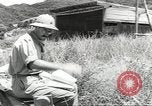 Standbild P-39 Airacobras Wau Papua Neu Guinea, 1943, aus Sekunde 10 historischem Filmmaterial Videoclip 65675058122