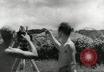 Standbild P-39 Airacobras Wau Papua Neu Guinea, 1943, aus Sekunde 11 historischem Filmmaterial Videoclip 65675058122