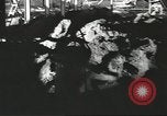 Image of phosphate mining Tennessee United States USA, 1940, second 22 stock footage video 65675058129