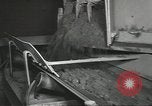 Image of phosphate mining Tennessee United States USA, 1940, second 42 stock footage video 65675058129