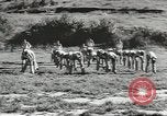 Image of troop train United States USA, 1943, second 11 stock footage video 65675058134