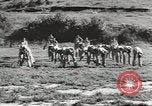 Image of troop train United States USA, 1943, second 12 stock footage video 65675058134