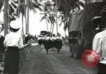 Image of navy nurses Guadalcanal Solomon Islands, 1944, second 32 stock footage video 65675058147