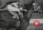Standbild Kentucky Derby Louisville Kentucky USA, 1944, aus Sekunde 55 historischem Filmmaterial Videoclip 65675058151