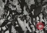 Image of farm activities United States USA, 1943, second 53 stock footage video 65675058155