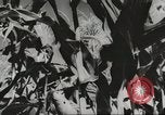 Image of farm activities United States USA, 1943, second 54 stock footage video 65675058155