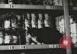 Standbild Rationierung von Lebensmitteln United States USA, 1943, aus Sekunde 11 historischem Filmmaterial Videoclip 65675058157