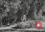 Image of supplies European Theater, 1944, second 1 stock footage video 65675058159