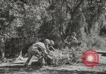Image of supplies European Theater, 1944, second 3 stock footage video 65675058159