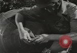 Image of supplies European Theater, 1944, second 26 stock footage video 65675058159