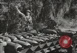 Image of supplies European Theater, 1944, second 31 stock footage video 65675058159