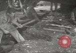 Image of Air Service Command European Theater, 1944, second 48 stock footage video 65675058160