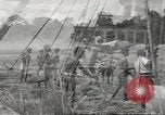 Image of air service center European Theater, 1944, second 1 stock footage video 65675058161
