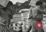 Image of air service center European Theater, 1944, second 7 stock footage video 65675058161