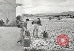 Image of air service center European Theater, 1944, second 15 stock footage video 65675058161