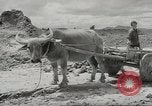 Image of air service center European Theater, 1944, second 19 stock footage video 65675058161