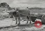 Image of air service center European Theater, 1944, second 20 stock footage video 65675058161