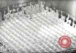 Image of processing of eggs Chicago Illinois USA, 1943, second 51 stock footage video 65675058162