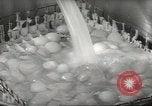 Image of processing of eggs Chicago Illinois USA, 1943, second 53 stock footage video 65675058162