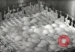 Image of processing of eggs Chicago Illinois USA, 1943, second 54 stock footage video 65675058162