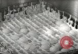 Image of processing of eggs Chicago Illinois USA, 1943, second 55 stock footage video 65675058162