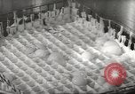 Image of processing of eggs Chicago Illinois USA, 1943, second 56 stock footage video 65675058162