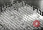 Image of processing of eggs Chicago Illinois USA, 1943, second 57 stock footage video 65675058162