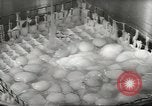 Image of processing of eggs Chicago Illinois USA, 1943, second 59 stock footage video 65675058162