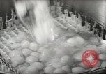 Image of processing of eggs Chicago Illinois USA, 1943, second 60 stock footage video 65675058162