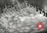 Image of processing of eggs Chicago Illinois USA, 1943, second 61 stock footage video 65675058162